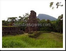 IMGP0523
