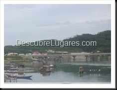 IMGP0613