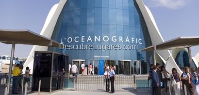 L'Oceanografic-Valencia-01