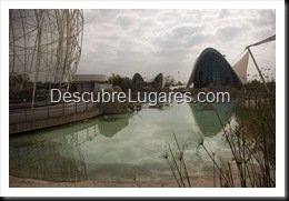 L'Oceanografic-Valencia-05