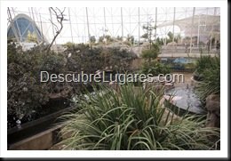 L'Oceanografic-Valencia-06