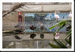 L'Oceanografic-Valencia-08