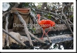 L'Oceanografic-Valencia-09