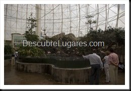 L'Oceanografic-Valencia-10