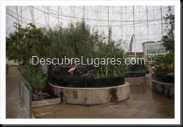 L'Oceanografic-Valencia-11