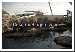 L'Oceanografic-Valencia-18