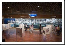 L'Oceanografic-Valencia-21