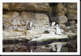 L'Oceanografic-Valencia-23