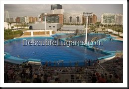 L'Oceanografic-Valencia-28