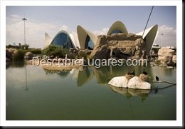 L'Oceanografic-Valencia-33