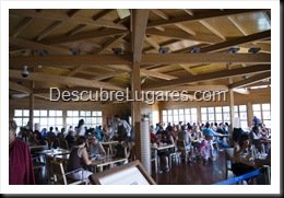 L'Oceanografic-Valencia-36