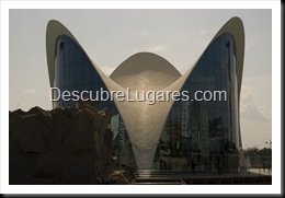 L'Oceanografic-Valencia-37