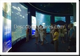 L'Oceanografic-Valencia-42