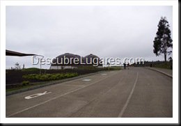 Muja-Museo_Del_Jurasico_Asturias_005