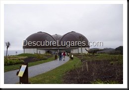 Muja-Museo_Del_Jurasico_Asturias_009
