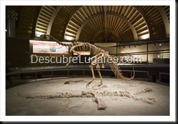 Muja-Museo_Del_Jurasico_Asturias_021