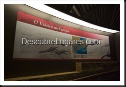 Muja-Museo_Del_Jurasico_Asturias_025