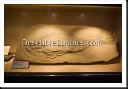 Muja-Museo_Del_Jurasico_Asturias_039