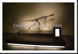 Muja-Museo_Del_Jurasico_Asturias_040