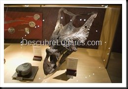 Muja-Museo_Del_Jurasico_Asturias_052