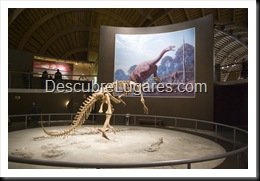Muja-Museo_Del_Jurasico_Asturias_072
