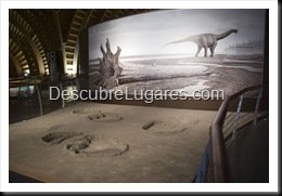 Muja-Museo_Del_Jurasico_Asturias_090