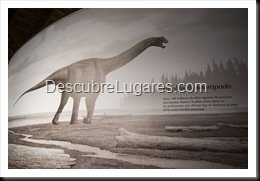 Muja-Museo_Del_Jurasico_Asturias_094
