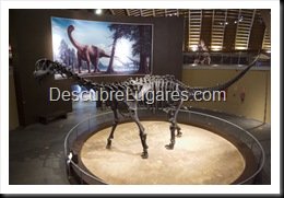 Muja-Museo_Del_Jurasico_Asturias_099