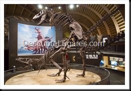 Muja-Museo_Del_Jurasico_Asturias_226