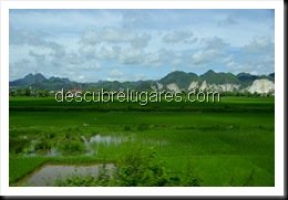 Tam Coc-Vietnam-03