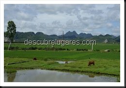 Tam Coc-Vietnam-04