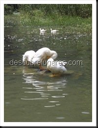 Tam Coc-Vietnam-45