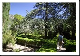 Valldemossa-Mallorca14